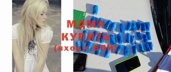 мдпв Ельня