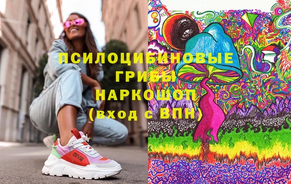 apvp Алзамай