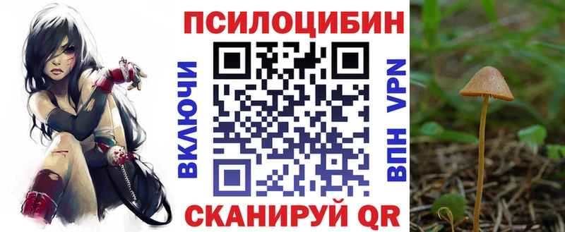 кракен рабочий сайт  Ангарск  Галлюциногенные грибы Psilocybine cubensis  купить закладку 